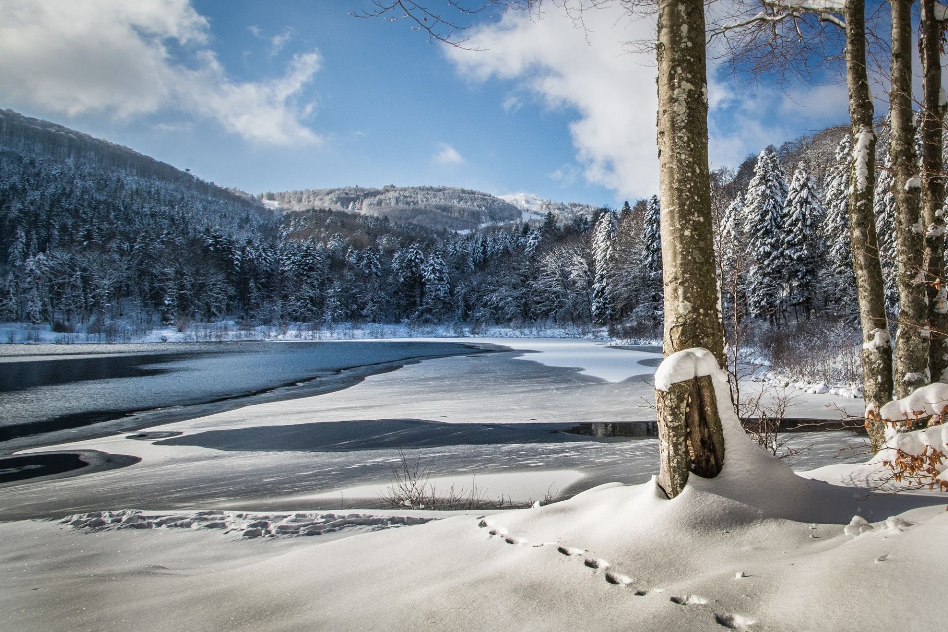 Lac_de_la_lauch_hiver_soleil_et_neige_markstein___Vincent_Schneider-44f4a63a