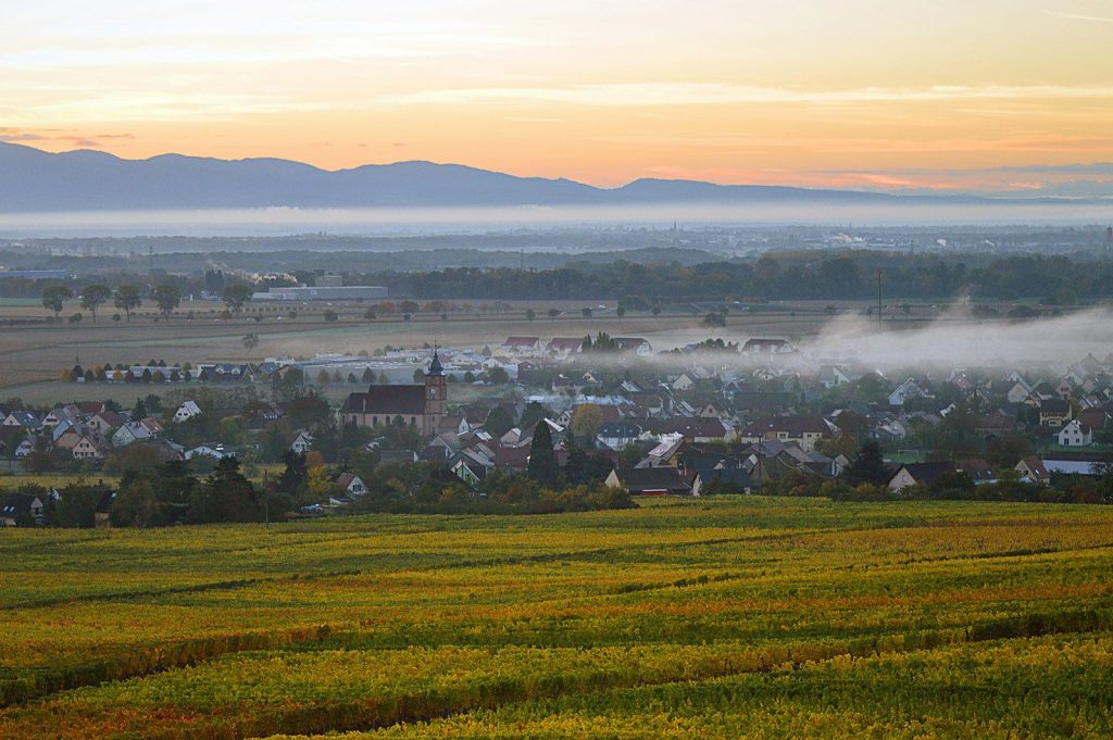 bergholtz-lever-de-soleil-brume-automne--Vincent-Schneider-7817d7de